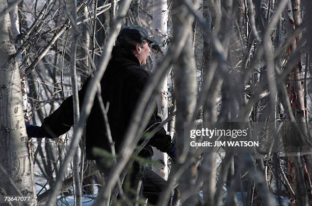 Anchorage, UNITED STATES: Wildlife Biologist for the Alaska Department of Fish and Game Rick Sinnott tracks a moose on a neighborhood trail in...