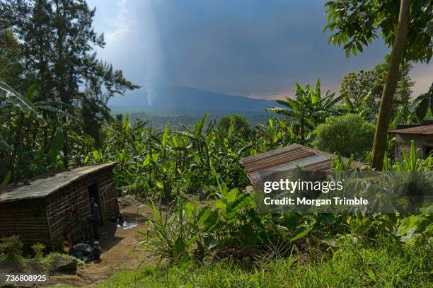 Geography Of The Republic Of The Congo Photos and Premium High Res ...