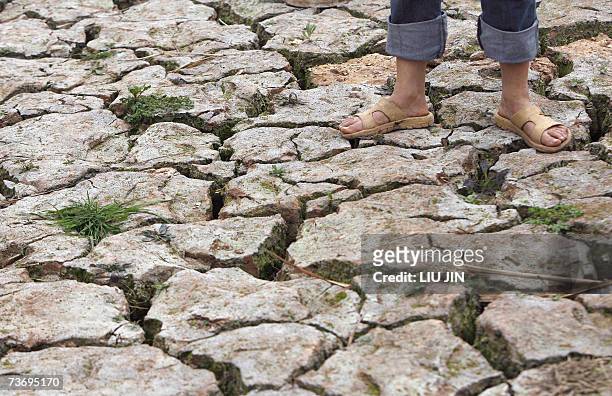Farmer stands on the parched land full of cracks in the outskirts of Shanquan township, in China's southwestern province of Sichuan, 25 March 2007. A...