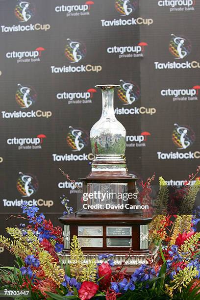 The trophy for the 2007 Tavistock Cup held at the Lake Nona Golf Club, on March 26 in Orlando, Florida, United States.