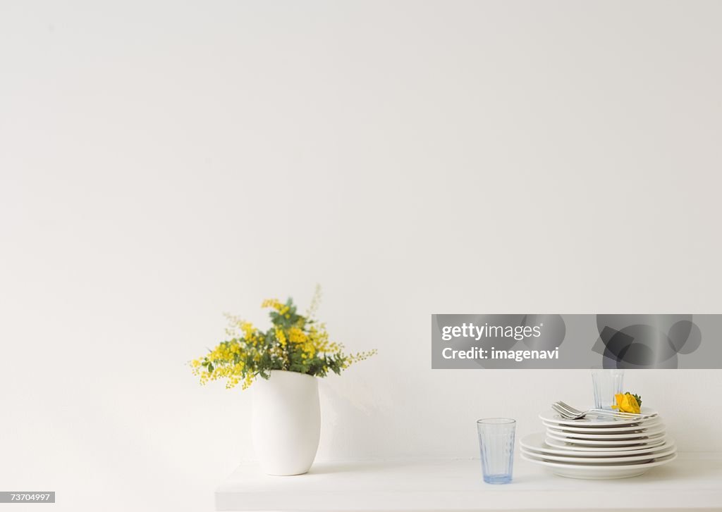 Potted mimosa pudica and tableware
