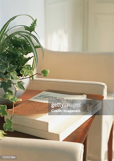 books and potted plant - selaginella plant photos et images de collection