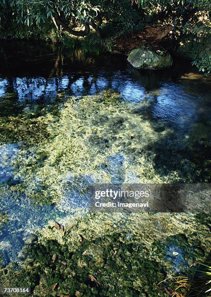 surface of river - minamiaso kumamoto fotografías e imágenes de stock