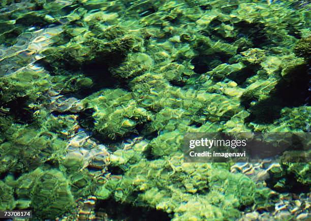 surface of river - minamiaso kumamoto stockfoto's en -beelden