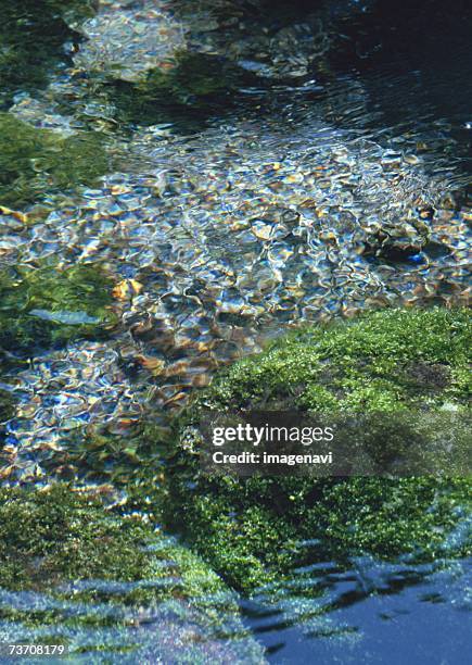 surface of the water - minamiaso kumamoto fotografías e imágenes de stock