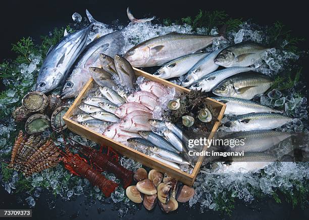 fishery products - amberjack stockfoto's en -beelden