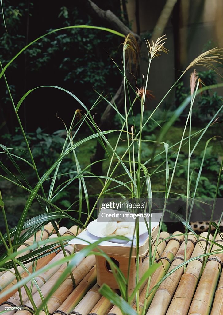 Japanese Pampas Grass and Dumpling