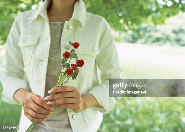 woman holding flower - globe ameranth stockfoto's en -beelden