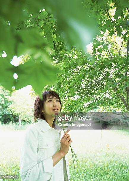 woman in natural park - globe ameranth stockfoto's en -beelden