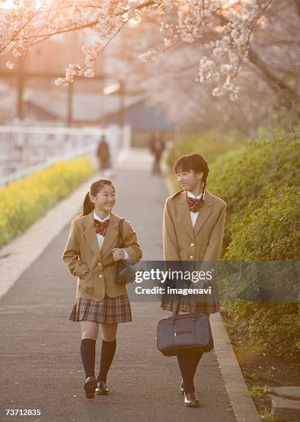 teenagegirls walking from school under cherry blossom tree - japanese short skirts stockfoto's en -beelden