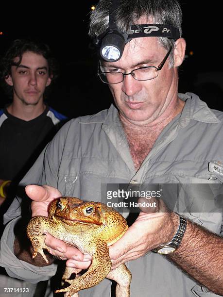 This handout photo from Frogwatch shows a giant Cane Toad being held by FrogWatch coordinator, Graeme Sawyer after it's capture March 26 in Darwin,...