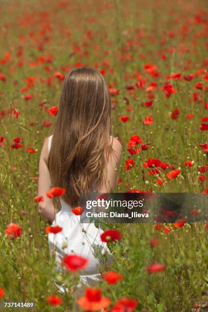 woman walking through a poppy field, bulgaria - stehmohn stock-fotos und bilder