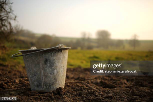 metal bucket in the garden - bucket stock-fotos und bilder