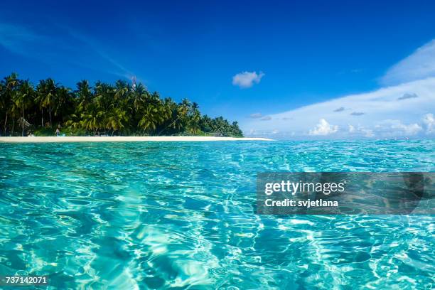 fihalhohi island, kaafu, maldives,  - tropical island stock pictures, royalty-free photos & images