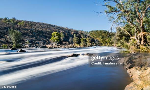 swan river, bells rapids, perth, western australia, australia - swan river stock pictures, royalty-free photos & images