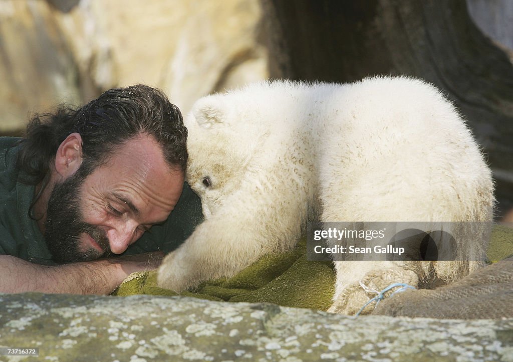 Polar Cub Knut Draws Eager Public