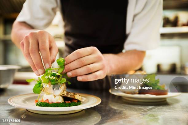 close up of chef in kitchen adding salad garnish to a plate with grilled fish. - おもてなし ストックフォトと画像