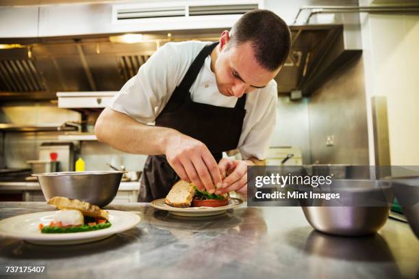 chef standing in kitchen, wearing apron, plating food. - food plating stock-fotos und bilder