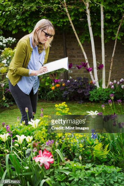 woman wearing sunglasses standing in a garden by a flowerbed, drawing in a sketchbook. - garden drawing stockfoto's en -beelden