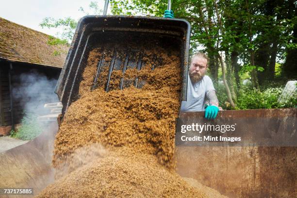 man pouring spent grain into a large container, steam rising, during the brewing process.  - tonel imagens e fotografias de stock