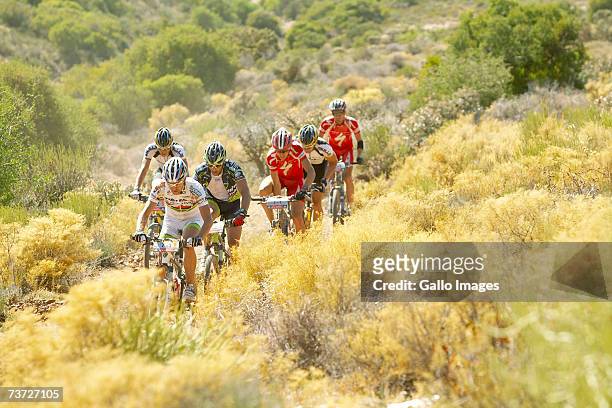 The lead bunch is lead by stage winner Ralph Naef through the Klein Karoo during stage four of the 2007 Absa Cape Epic Mountain Bike stage race from...