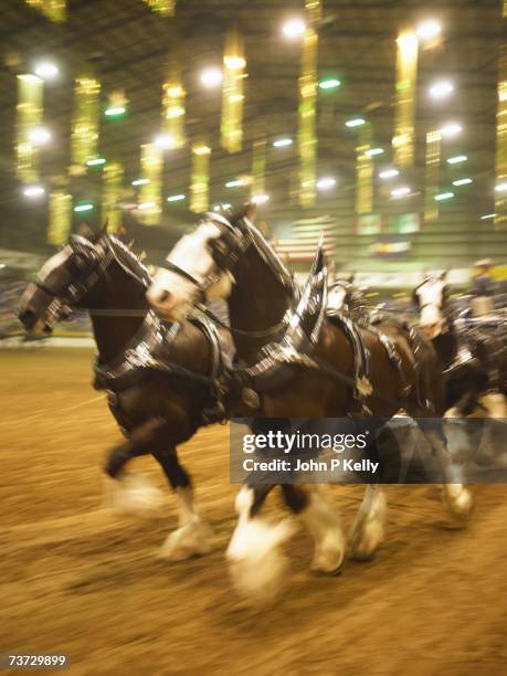 Kelly Racing Team Photos and Premium High Res Pictures - Getty Images