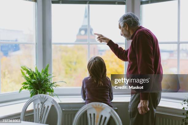 side view of senior man showing something to great grandson through window at home - child pointing stock pictures, royalty-free photos & images