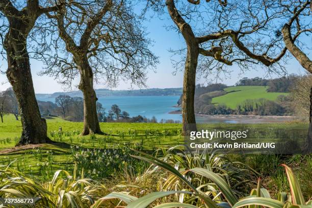the carrick roads view on the river fal near truro in cornwall, england - truro cornwall stockfoto's en -beelden