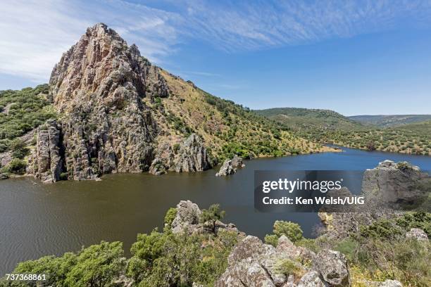 monfrague national park, spain - monfrague national park foto e immagini stock
