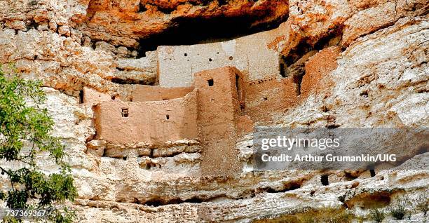 montezuma castle cliff dwelling, arizona, usa  - nationalmonument bildbanksfoton och bilder