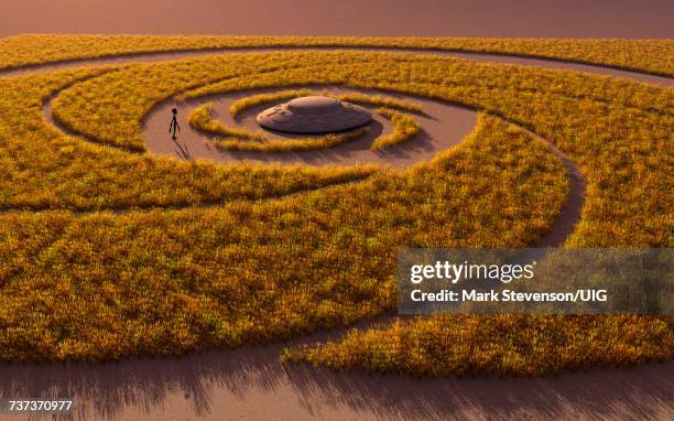 ilustrações, clipart, desenhos animados e ícones de flying saucer & grey alien in crop circle. - círculo nas plantações