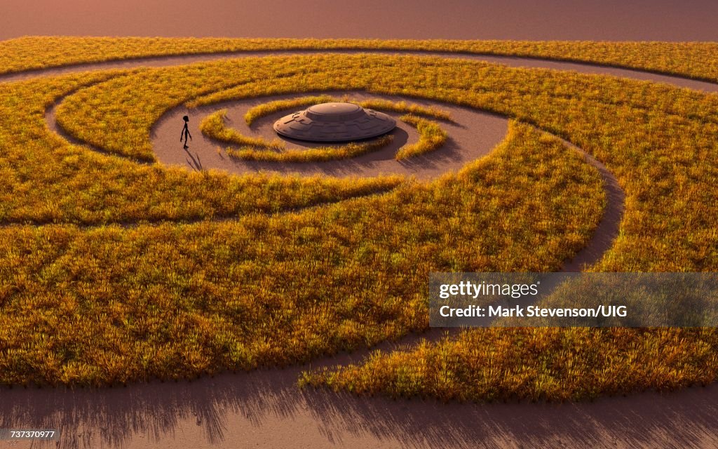 Flying Saucer & Grey Alien In Crop Circle.