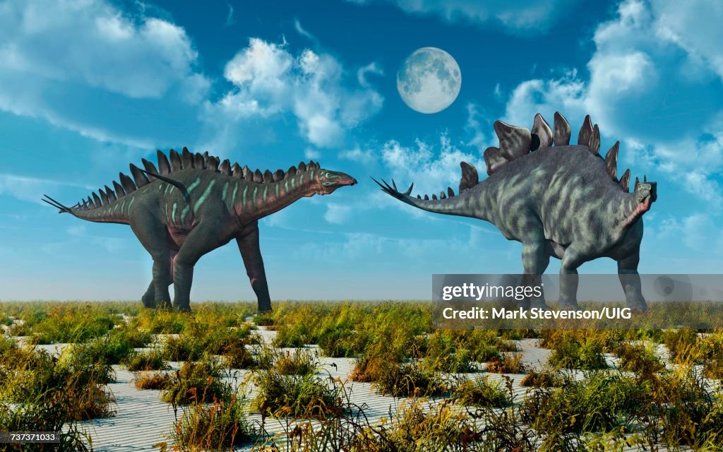 Miragi& Stegosaurus Dinosaurs.Both Alive During Earths Juassic ErOf Time.