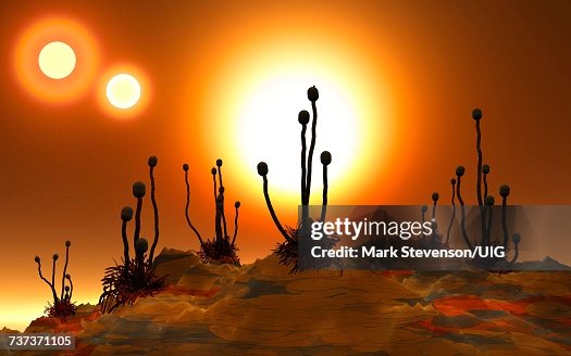 Planet Proxima B, Orbiting Proxima Centauri. Planet Proxima B, Orbiting Proxima Centauri.