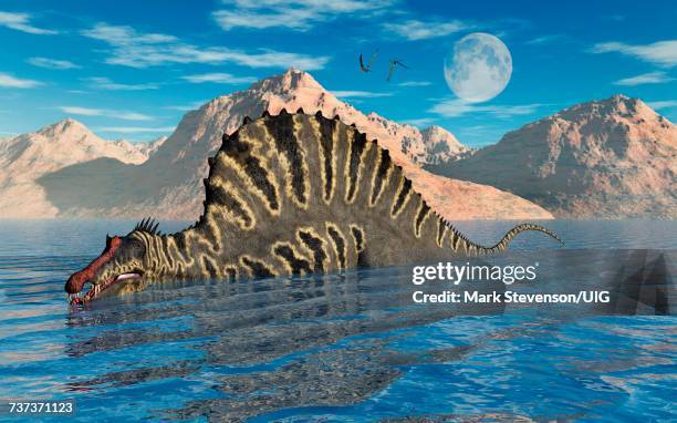 Outdated Spinosaurus 403 Spinosaurus Images Stock Photos, High-Res Pictures, and Images ...