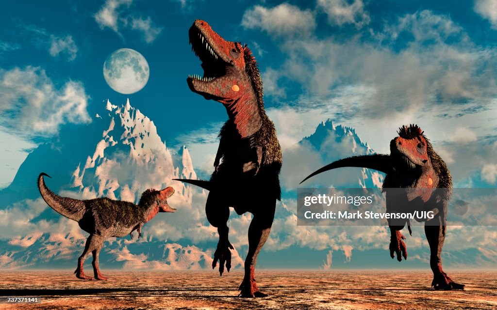 Pack Of Tarbosaurus Dinosaurs