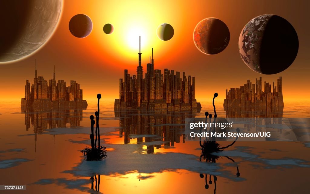 The Trappist Star System