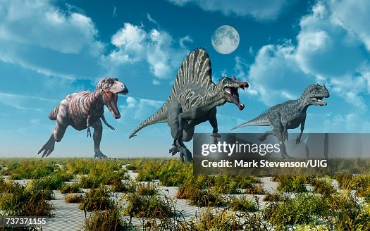 3 Predatory Dinosaurs, T.Rex, Spinosaurus & Allosaurus Dinosaurs. 3 Predatory Dinosaurs, T.Rex, Spinosaurus & Allosaurus Dinosaurs.