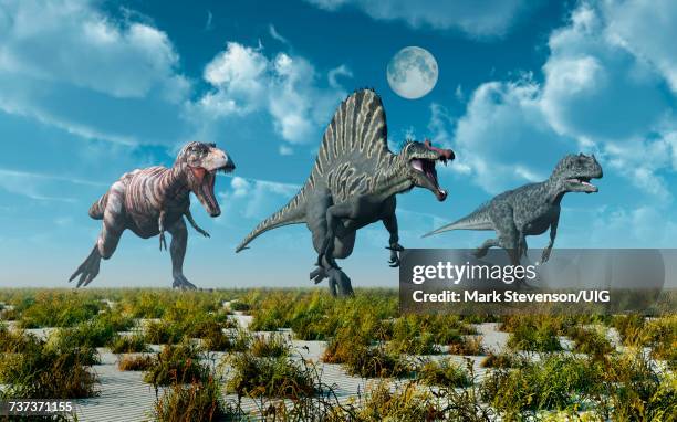 3 predatory dinosaurs, t.rex, spinosaurus & allosaurus dinosaurs. - allosaurus stock illustrations