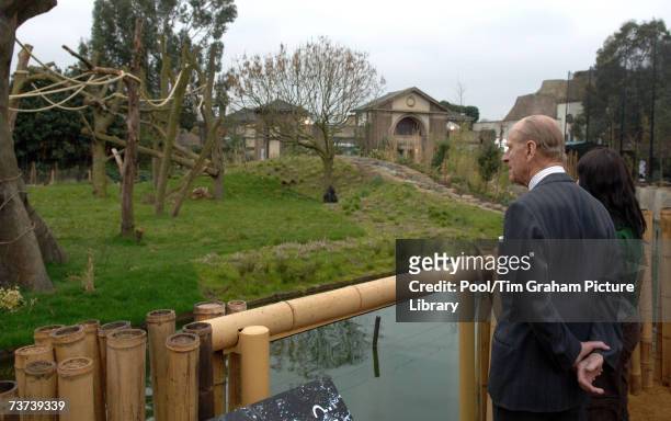 Prince Philip, Duke of Edinburgh looks at gorilla Zaire during the official opening of the Gorilla Kingdom, a new habitat in London Zoo based on the...