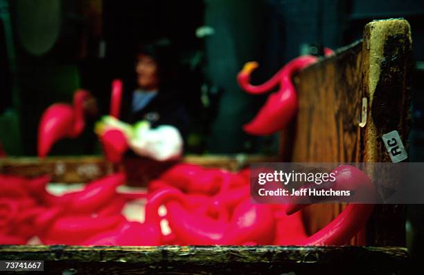 Plastic pink flamingo peaks over the edge of a box as the originial plastic pink flamingo is manufactured by Union Products on March 18, 2004 in...