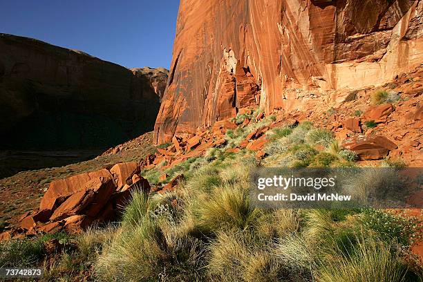 Green plant life flourishes among the red Navajo sandstone rock formations above the high water mark, where little grows in the whitened landscape,...