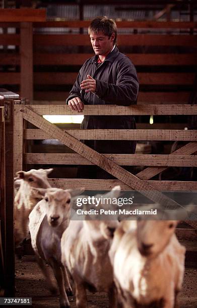 Stephen Dickson counts shorn sheep at North Arm on February 8, 2007 in the Falkland Islands. Stephen was eight years old when the Argentines invaded...