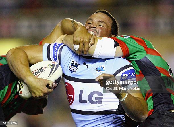 Shane Anderson Rugby Fraser Anderson Photos and Premium High Res Pictures - Getty Images