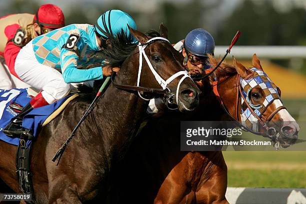 Scat Daddy, ridden by Edgar Prado passes Stormello, ridden by Victor Espinoza, on the final stretch during the 56th Running of the Florida Derby at...