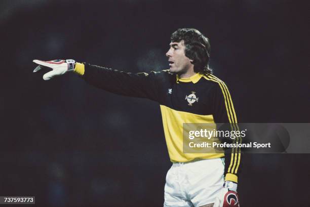 Irish professional footballer and goalkeeper with Arsenal, Pat Jennings pictured in action for the Northern Ireland national football team during the...