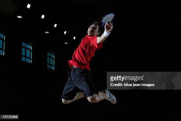 1,483 Badminton Court Photos and Premium High Res Pictures - Getty Images