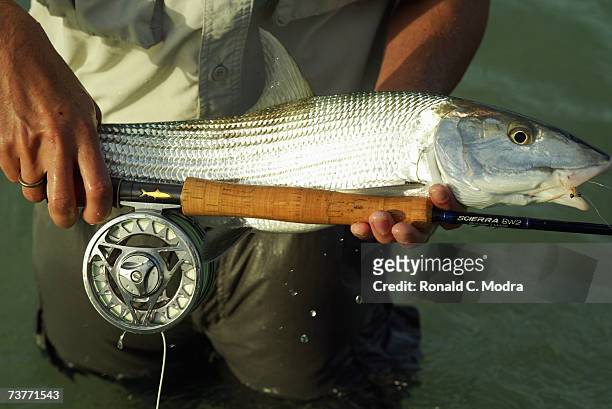 Bonefish caught on May 18, 2005 in the Florida Keys.