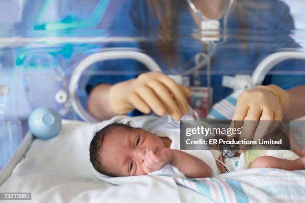 female doctor examining newborn baby in incubator - unidad de cuidados intensivos neonatales fotografías e imágenes de stock