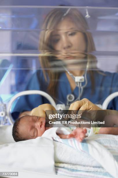 asian female doctor examining newborn baby in incubator - premature 個照片及圖片檔